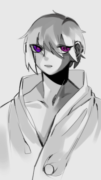ragdoll