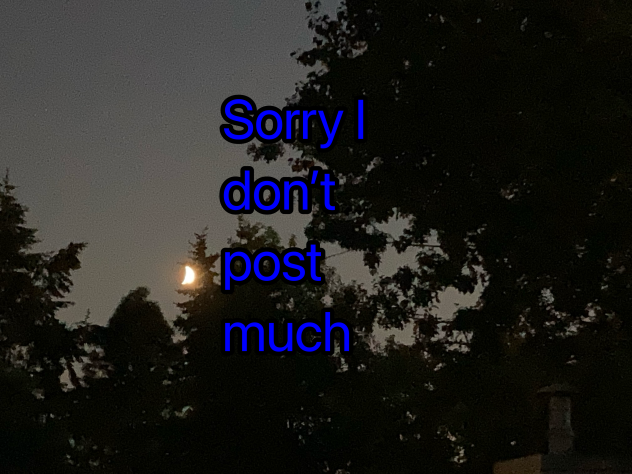 Sorry I don’t post much