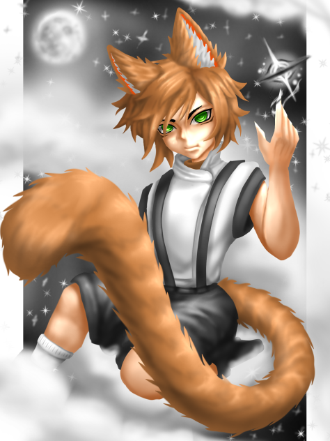moon cat