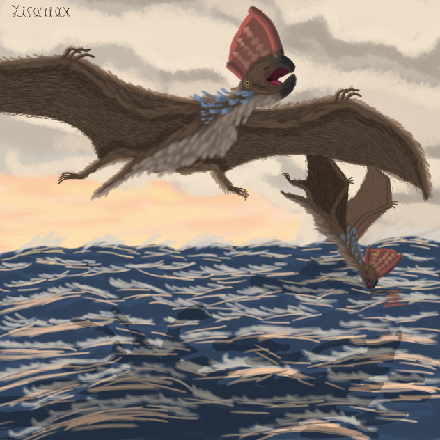 Tupandactylus Different Angle