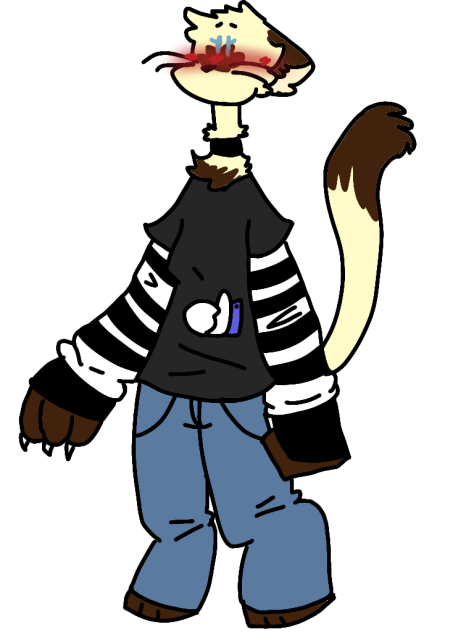 my cat is my oc now 👌