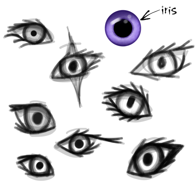 Eye sketches
