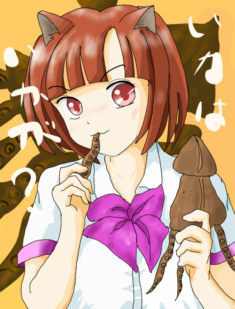 イカはいかが　Why don't you eat a squid
