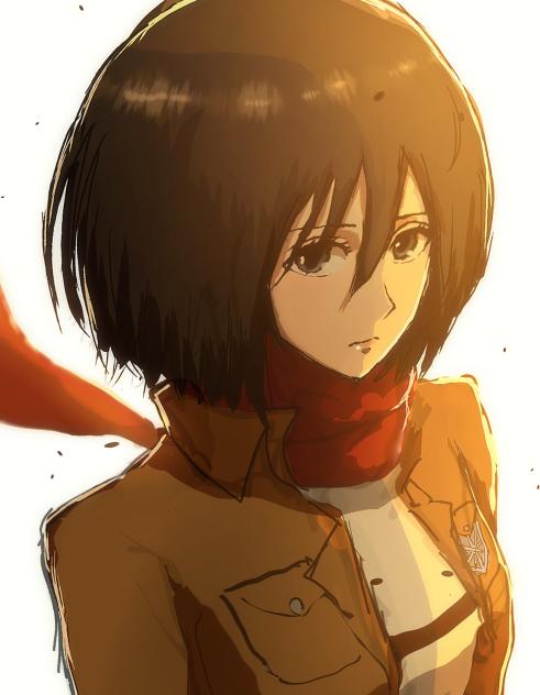 ミカサ