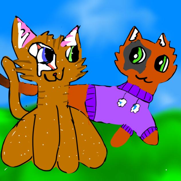 Me and my friend warrior cats ocs!