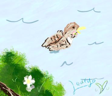 Duck in the lake