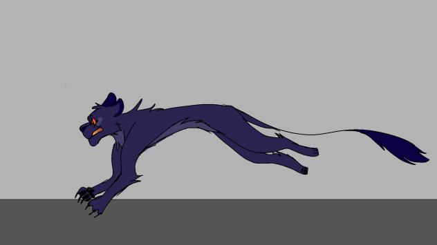 Run Cycle
