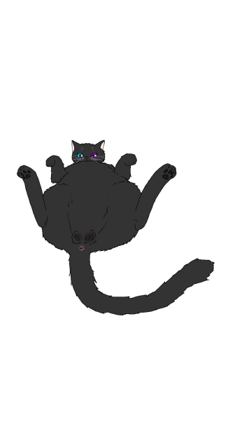 にゃんこฅ(ﾐ・ﻌ・ﾐ)ฅ