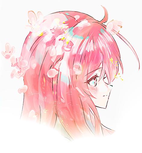 The world we cut out is connect