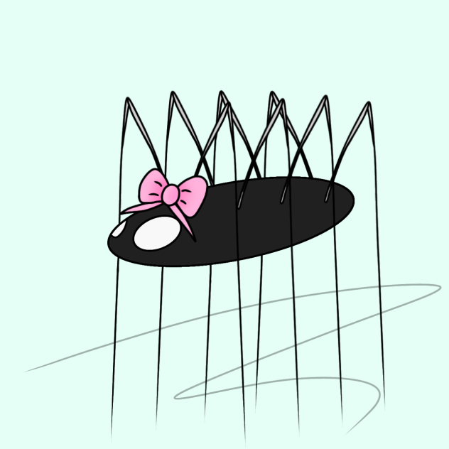 Pin-needle spider. (Or pin-wheel spider)