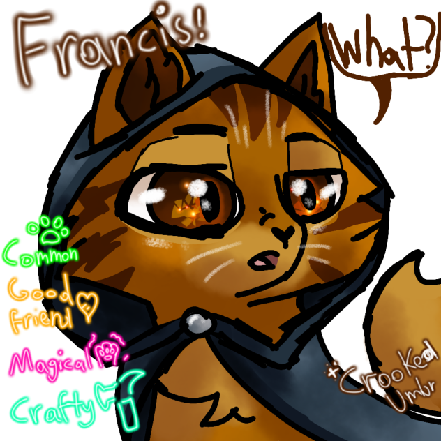 Castle Cats Francis the Mage!