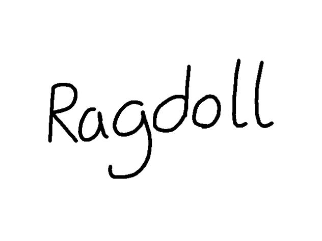 Ragdoll
