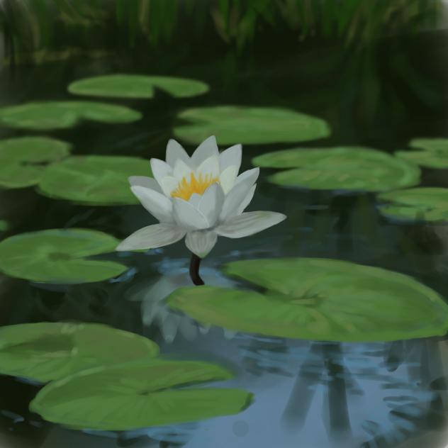 Water Lily - ibisPaint