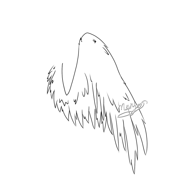 Got bored, drew a wing