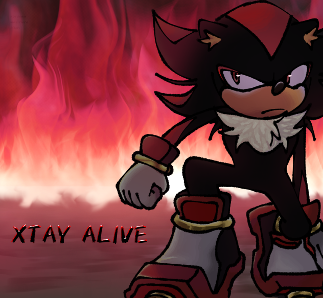 XTAYLIVE