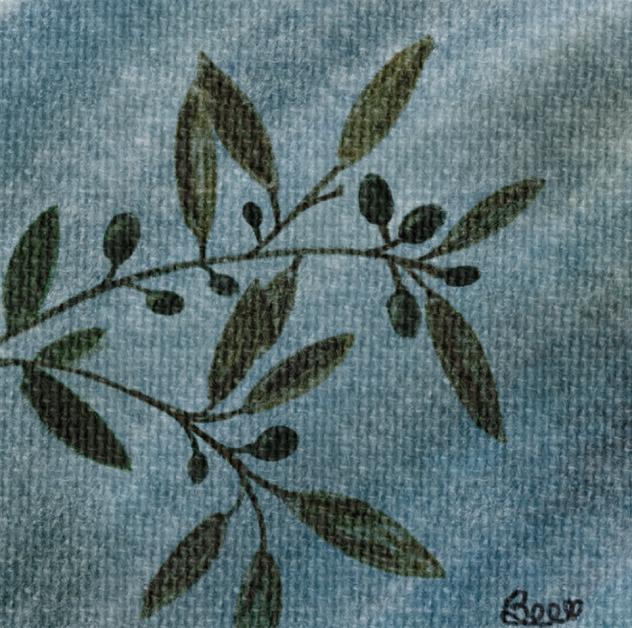 The olive tree