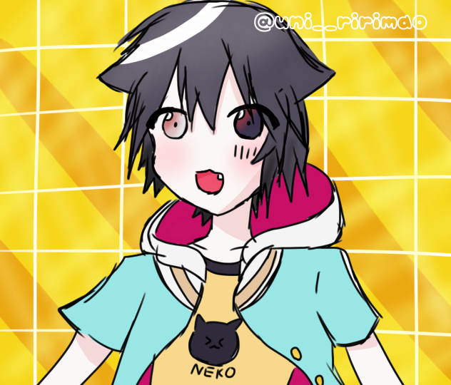 すーぱーぬこになりたい！！