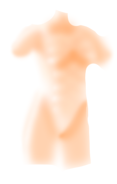 Body shading - ibisPaint