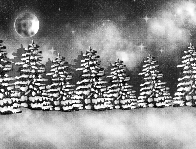 Winter starry sky