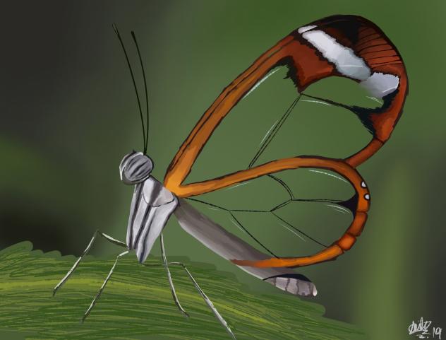 greta oto butterfly²