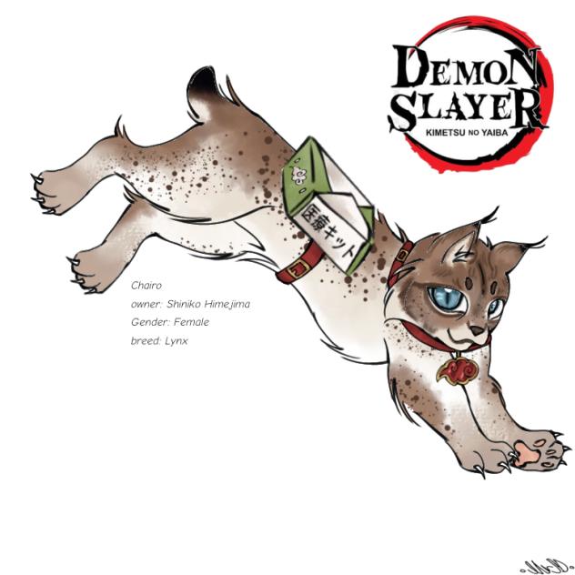 Kny oc pet