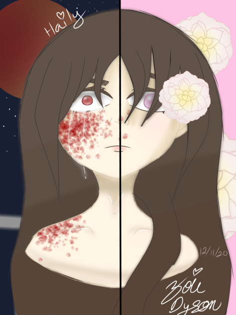 The Duality of Haily