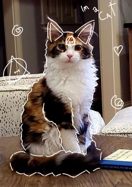 pfp calico cat therian 2