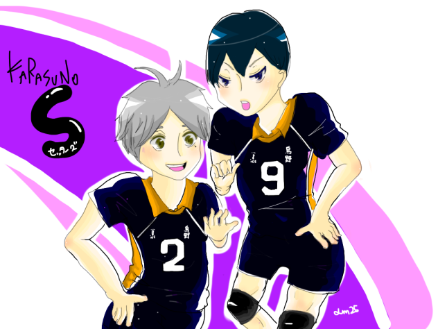 烏野せったーず。