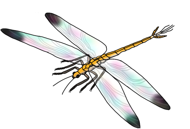 Namurotypus sippeli render