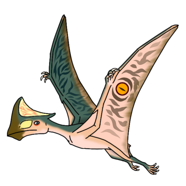 Tapejara wellnhoferi render
