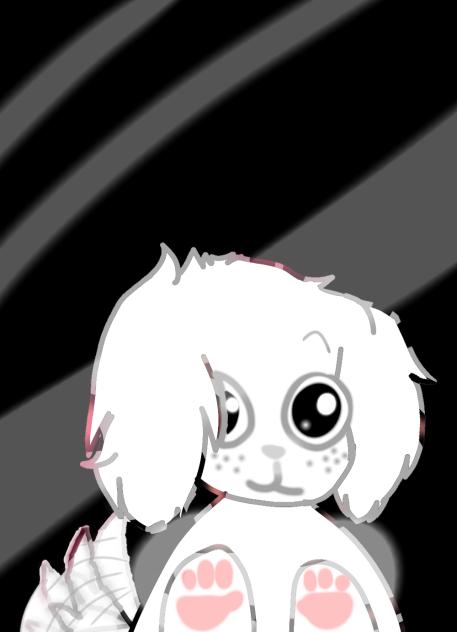 cachorro fondo de celu