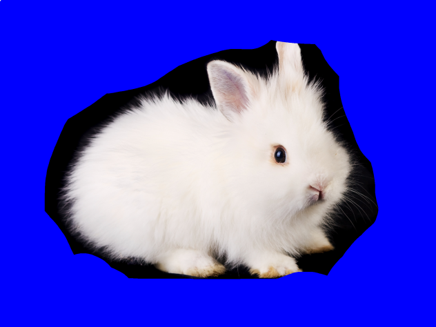 Bunny 5
