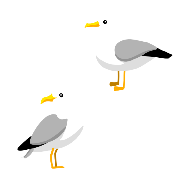 Seagull