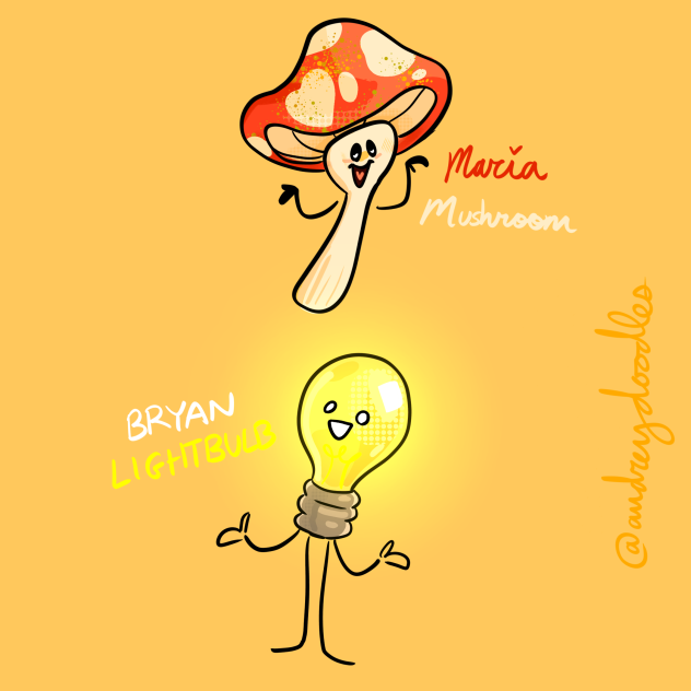Bulbs