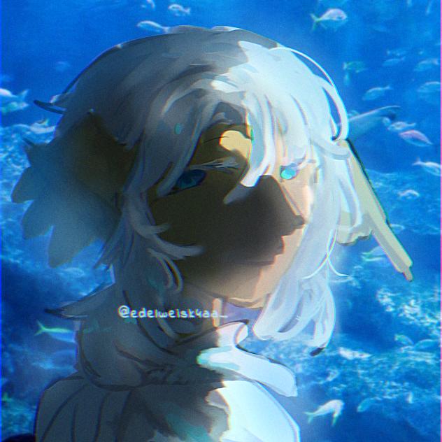 Aqua