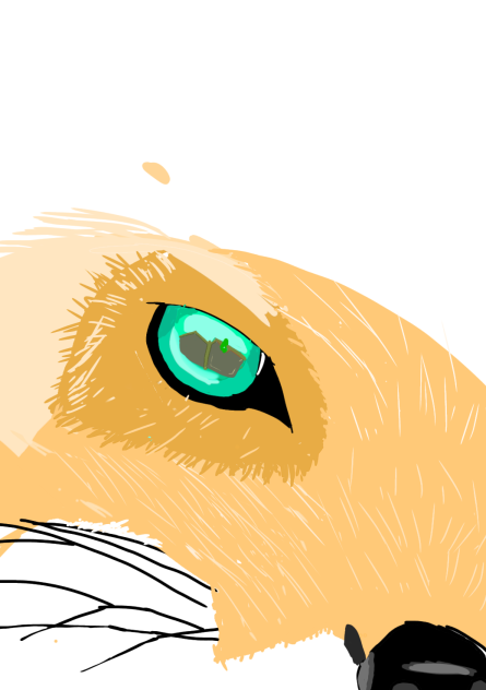 Fox Eye and Nise