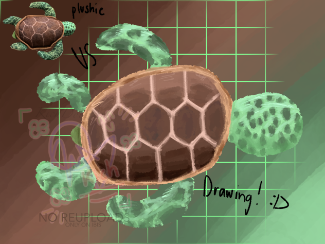 TURTUL 🥰✨⭐️