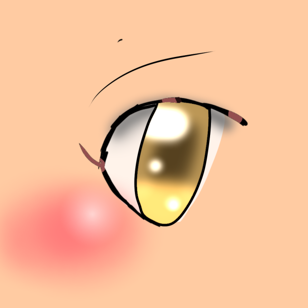 Eye