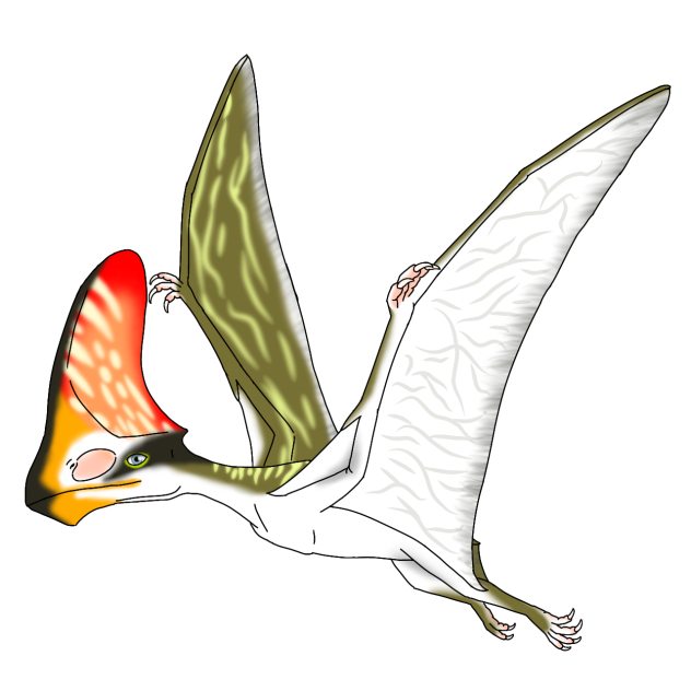 Tupandactylus navigans render