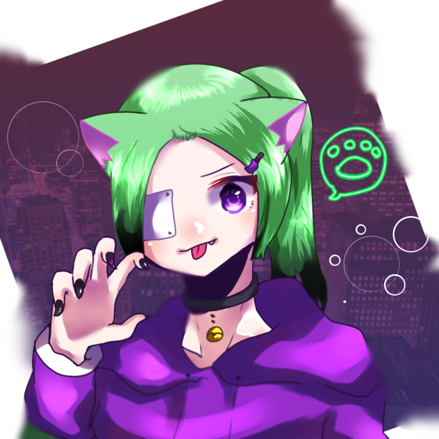 夜の猫