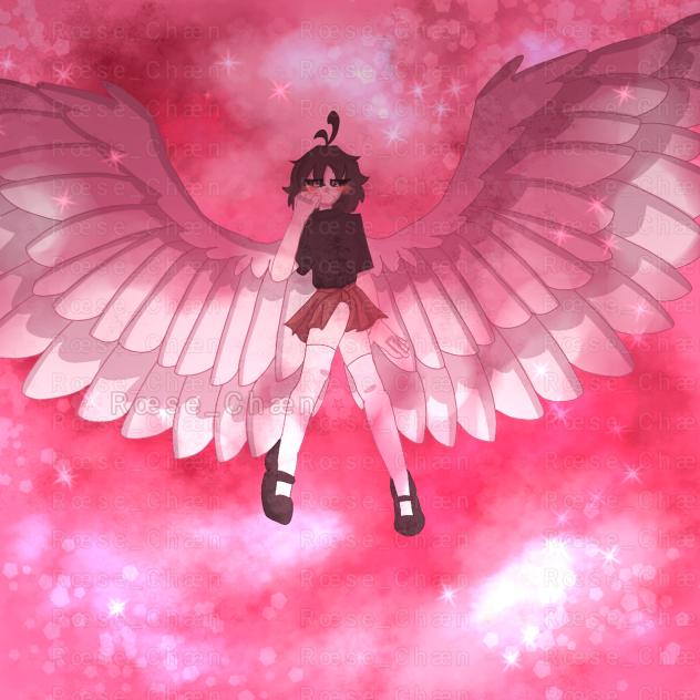 ✨ Wings ✨