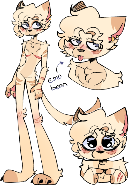 Kris the furry💜✨