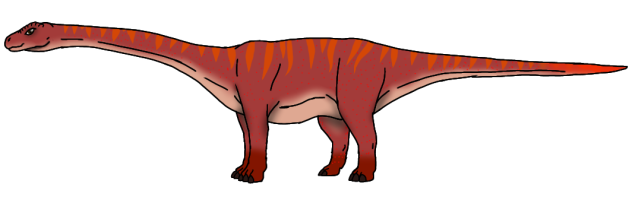 Volcano Diploterro male