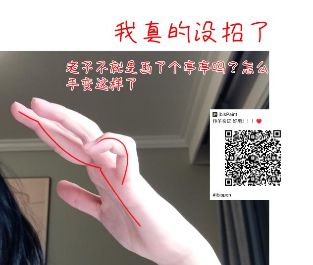 老子的手！！！