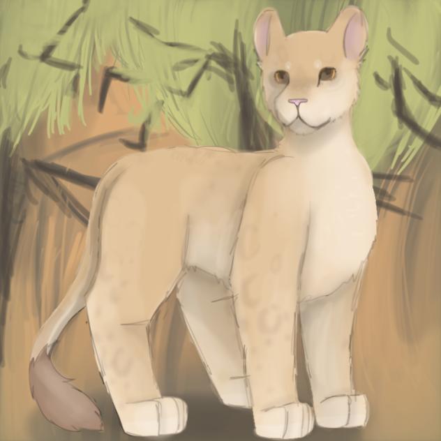 Lioness ( repost )