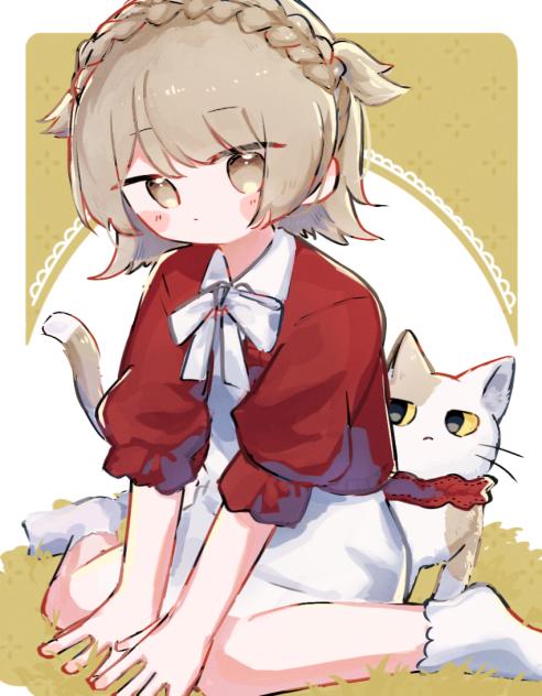 🟥🐈