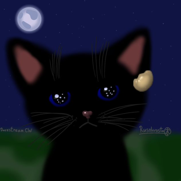 Без названия154