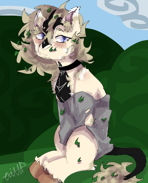 A wild Willow pony in the brushes