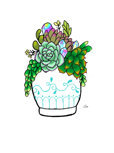 Succulents