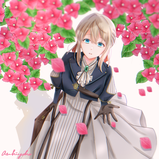 ブーゲンビリア